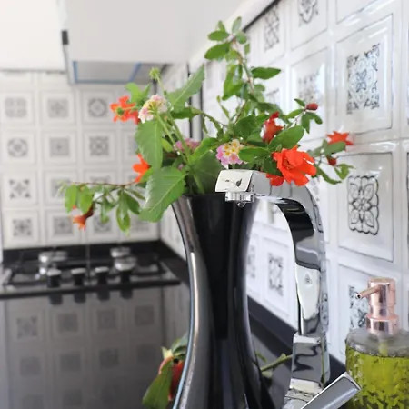 Blackwood Flava Cora Apartamento Datça