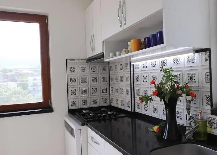 Blackwood Flava Cora Datça